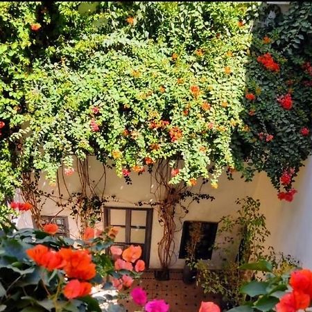 Bougainvillea Riad Marrakesz Zewnętrze zdjęcie