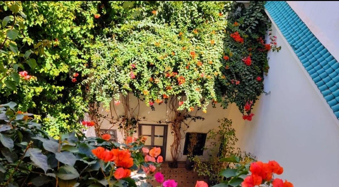 Bougainvillea Riad Marrakesz Zewnętrze zdjęcie