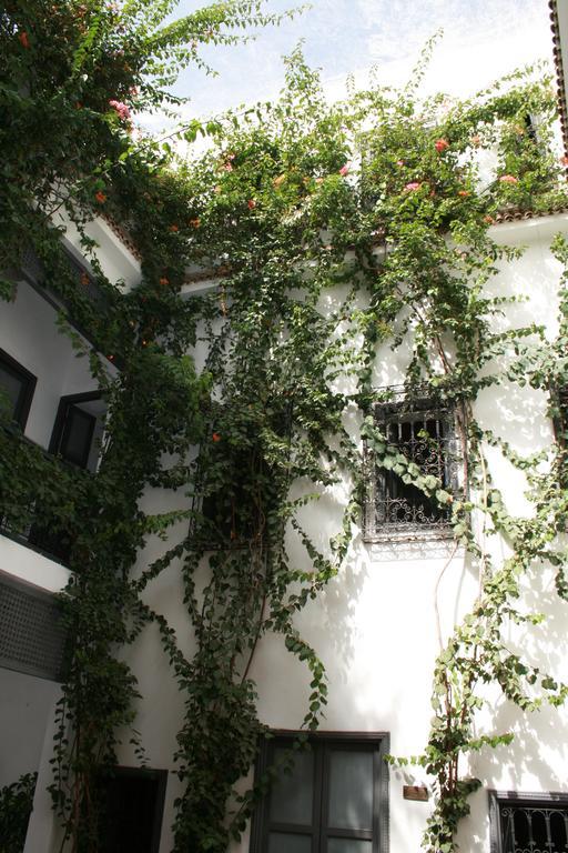 Bougainvillea Riad Marrakesz Zewnętrze zdjęcie