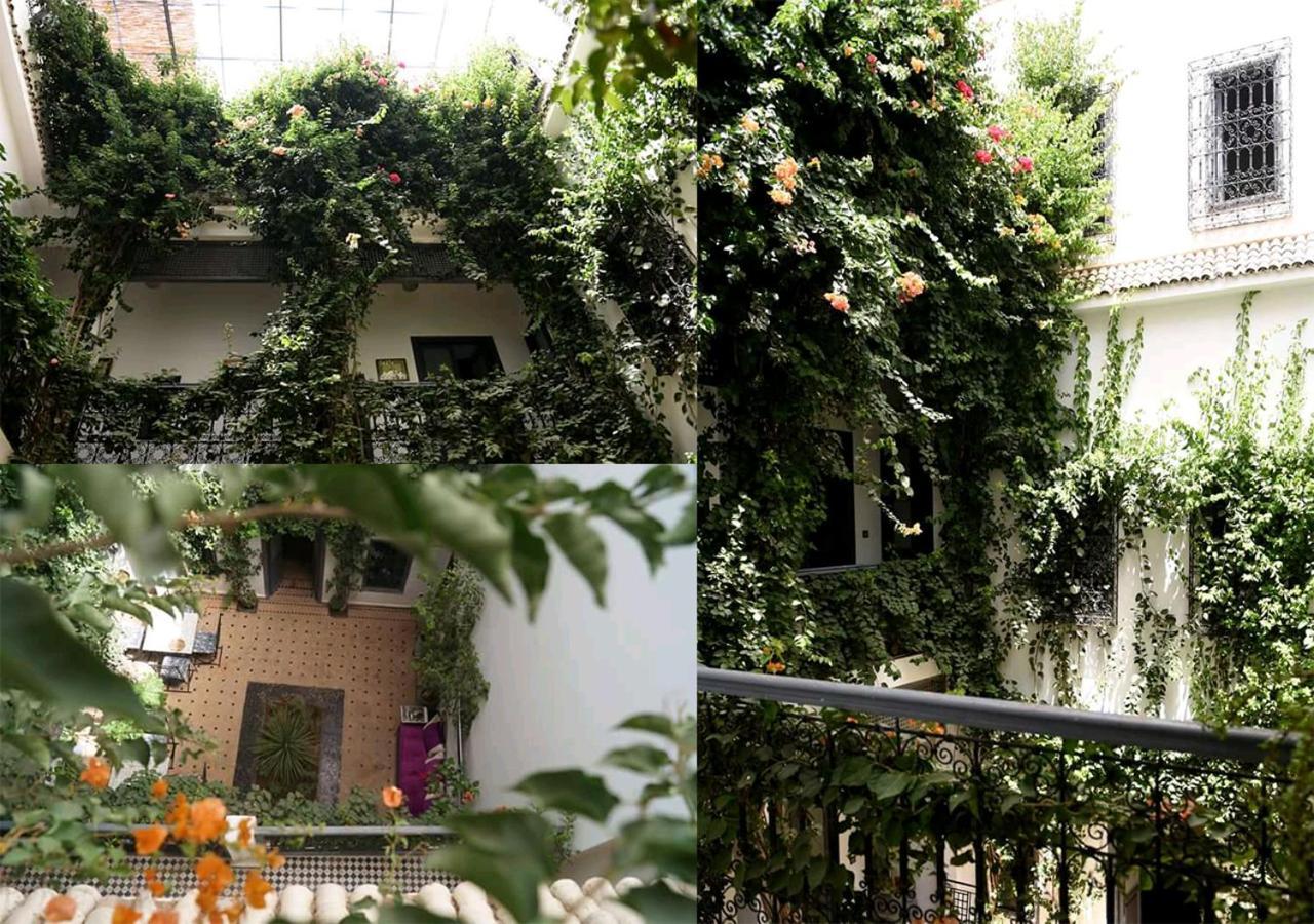 Bougainvillea Riad Marrakesz Zewnętrze zdjęcie