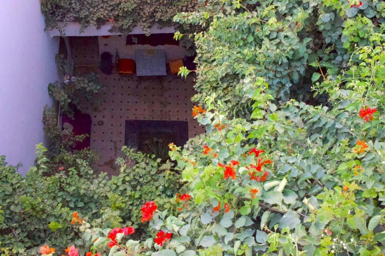 Bougainvillea Riad Marrakesz Zewnętrze zdjęcie